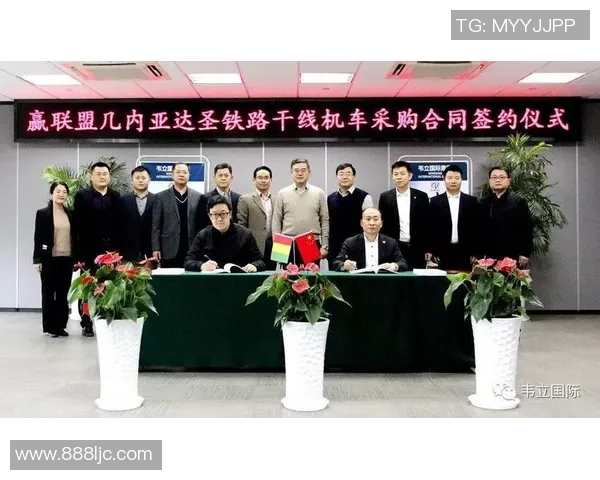 尼日尼亚与几内亚精彩对决直播全程回顾与分析 尼日尼亚与几内亚精彩对决直播全程回顾与分析